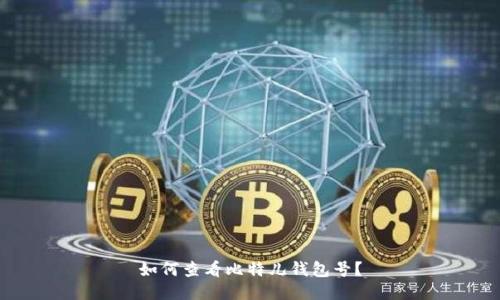 如何查看比特儿钱包号?