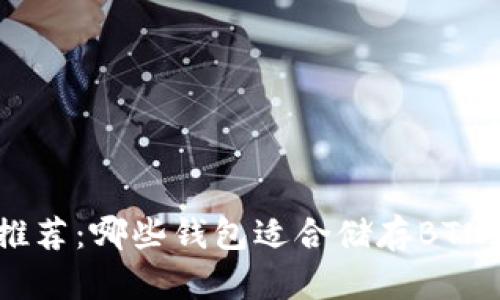BTN钱包推荐:哪些钱包适合储存BTN数字货币?