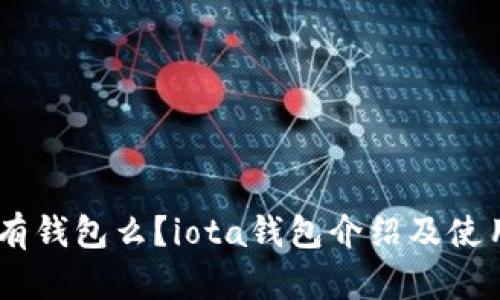 iiota有钱包么?iota钱包介绍及使用指南