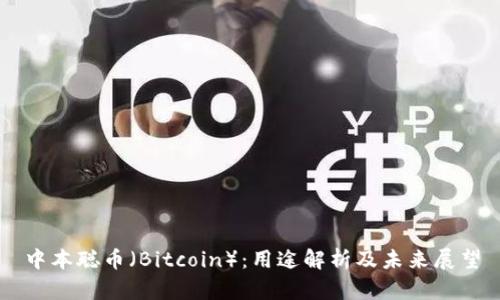 中本聪币(Bitcoin):用途解析及未来展望