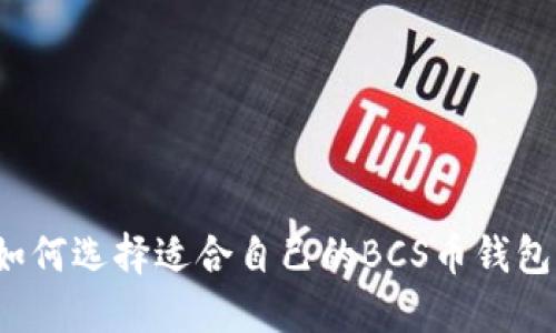 如何选择适合自己的BCS币钱包?