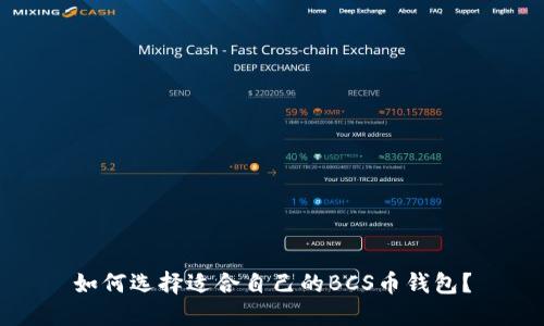 如何选择适合自己的BCS币钱包?