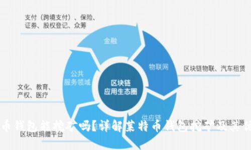 莱特币钱包能挖矿吗?详解莱特币钱包挖矿及其优缺点