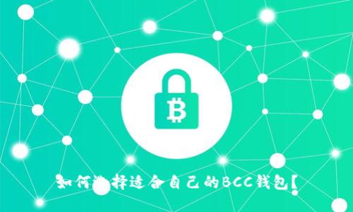 如何选择适合自己的BCC钱包?
