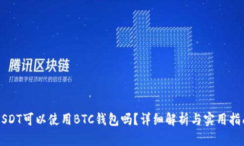 USDT可以使用BTC钱包吗？详细解析与实用指南