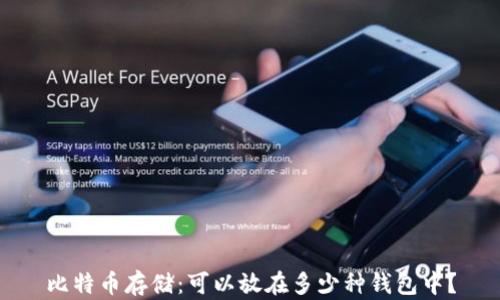 
比特币存储：可以放在多少种钱包中？