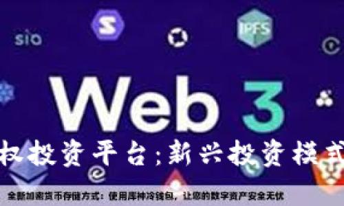加密货币股权投资平台：新兴投资模式的全面解析
