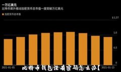 比特币钱包没有密码怎么办？