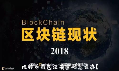 
比特币钱包没有密码怎么办？