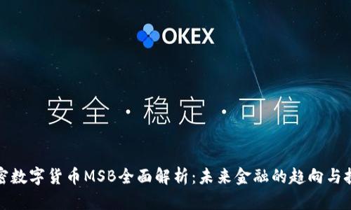 加密数字货币MSB全面解析：未来金融的趋向与挑战