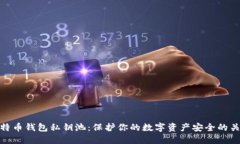 比特币钱包私钥池：保护你的数字资产安全的关
