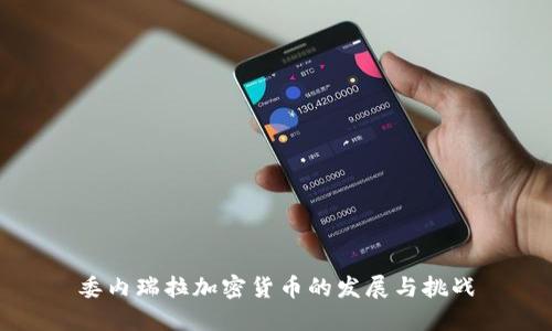 委内瑞拉加密货币的发展与挑战