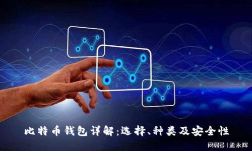 比特币钱包详解：选择、种类及安全性
