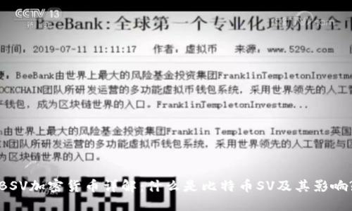 BSV加密货币详解：什么是比特币SV及其影响?
