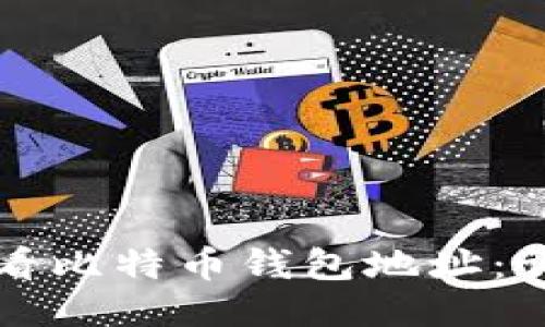 如何查看比特币钱包地址：详细指南