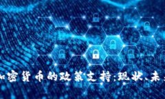 国家对加密货币的政策支持：现状、未来与挑战