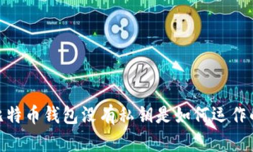 :比特币钱包没有私钥是如何运作的？