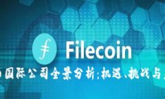 加密货币国际公司全景分析：机遇、挑战与未来