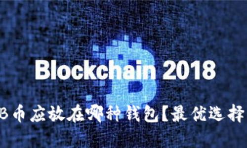 SHIB币应放在哪种钱包？最优选择指南