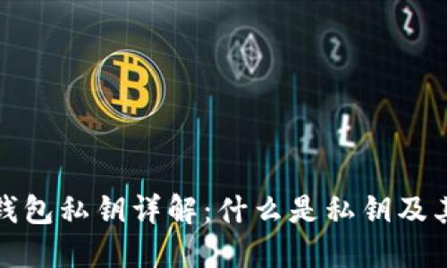 比特币钱包私钥详解：什么是私钥及其重要性