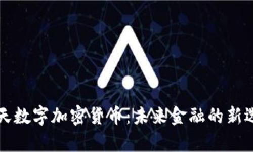 蓝天数字加密货币：未来金融的新选择