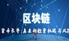  加密货币长牛：未来的投资机遇与风险分析