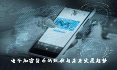 电子加密货币的现状与未来发展趋势