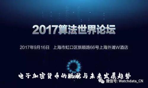 电子加密货币的现状与未来发展趋势