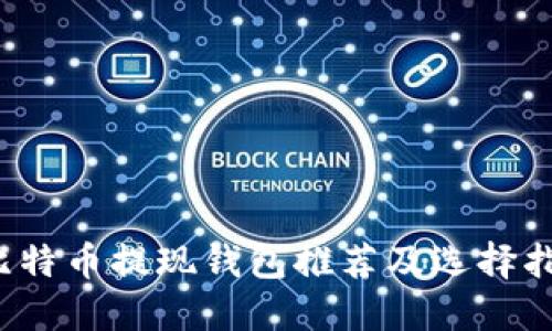  比特币提现钱包推荐及选择指南