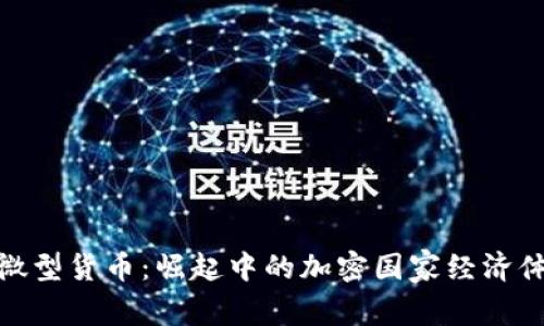 微型货币：崛起中的加密国家经济体