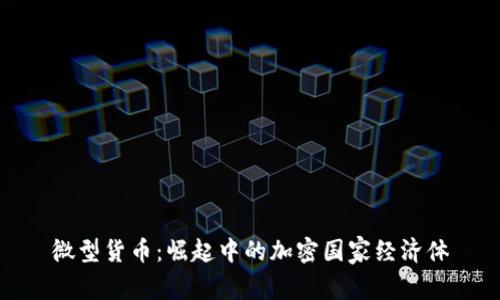 微型货币：崛起中的加密国家经济体
