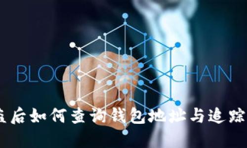 USDT被盗后如何查询钱包地址与追踪资金流向
