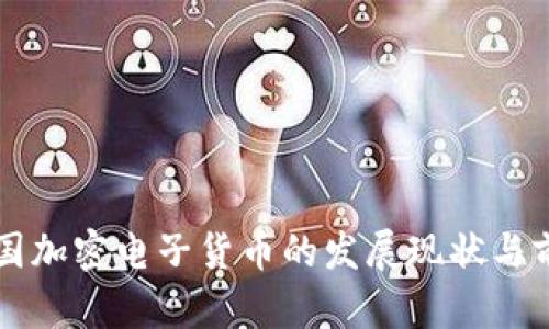 中国加密电子货币的发展现状与前景
