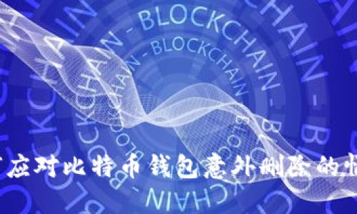 如何应对比特币钱包意外删除的情况？