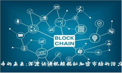 加密货币的未来：深度访谈视频揭秘加密市场的潜力与挑战