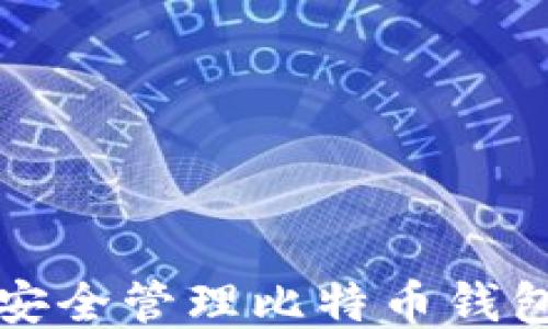 
如何安全管理比特币钱包余额