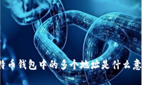 比特币钱包中的多个地址是什么意思？