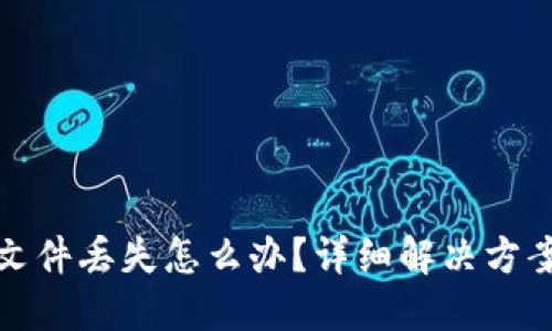 比特币钱包文件丢失怎么办？详细解决方案与预防措施