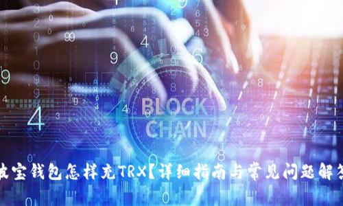 波宝钱包怎样充TRX？详细指南与常见问题解答