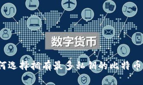  如何选择拥有最多私钥的比特币钱包