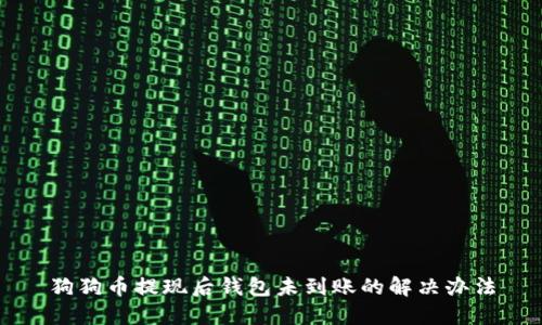狗狗币提现后钱包未到账的解决办法