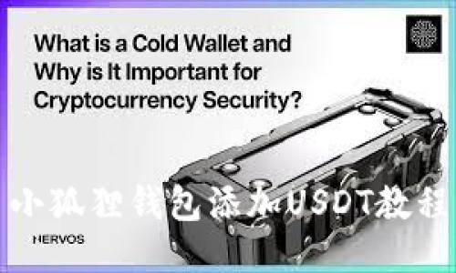 小狐狸钱包添加USDT教程