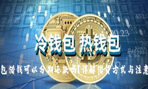 OP钱包借钱可以分期还款吗？详解借贷方式与注意事项