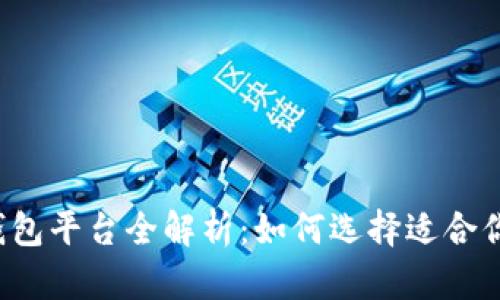 比特币钱包平台全解析：如何选择适合你的钱包？