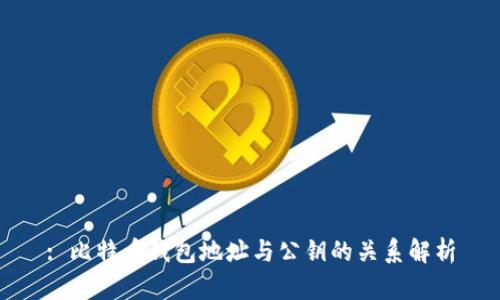 : 比特币钱包地址与公钥的关系解析