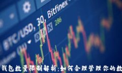 比特币钱包数量限制解析：如何合理管理你的数