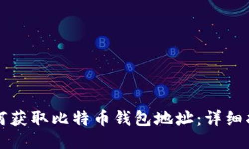 如何获取比特币钱包地址：详细指南