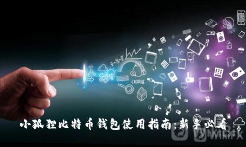 小狐狸比特币钱包使用指南：新手必看