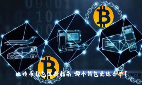 比特币钱包选择指南：哪个钱包更适合你？