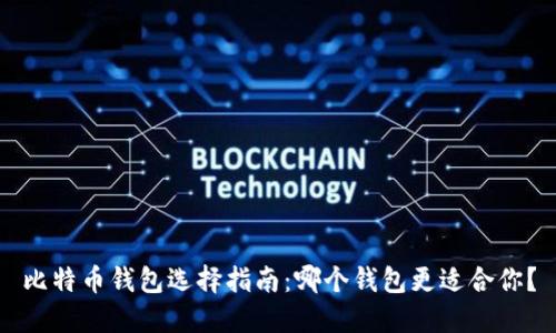 比特币钱包选择指南：哪个钱包更适合你？